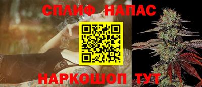 a pvp Тара