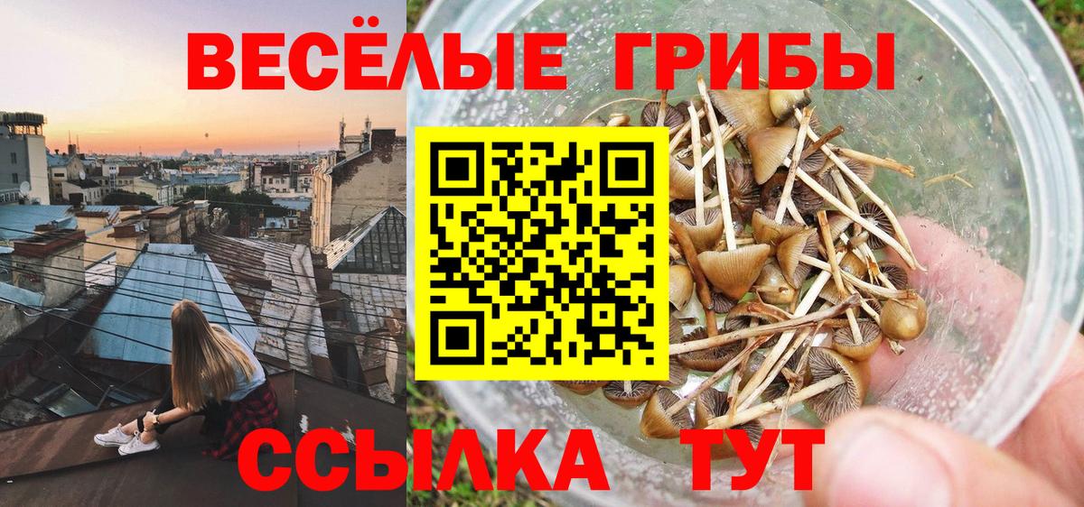 Ревда  Галлюциногенные грибы мухоморы  Вход с VPN 