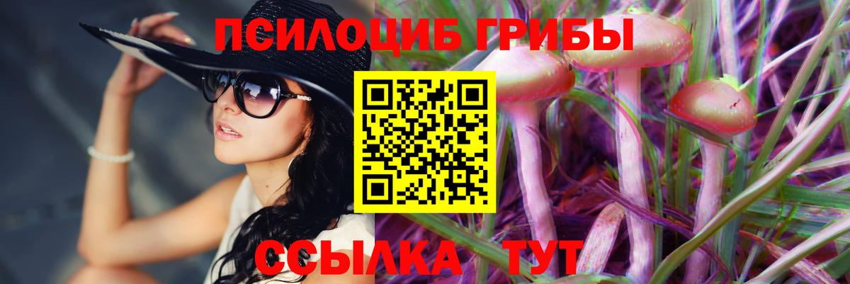Галлюциногенные грибы Psilocybine cubensis Ревда