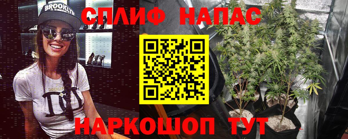 Бошки Шишки MAZAR  Бошки Шишки гибрид  Ревда  Вход с VPN 